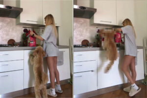 飼い主さんがお昼の準備をしていることに気が付いた子犬。嬉しすぎて・・、喜びを全身で表現をしています！！