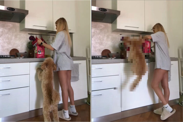 飼い主さんがお昼の準備をしていることに気が付いた子犬。嬉しすぎて・・、喜びを全身で表現をしています！！