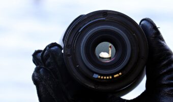 「フォーカス」とはどんな意味？言い換えることができる類義語は？分野によっては独自の使い方がある？！