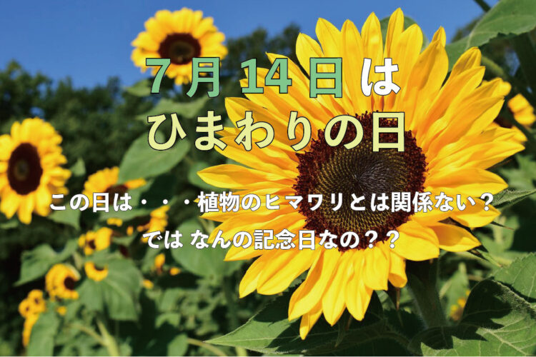 7月14日は「ひまわりの日」。・・・だけど、この日は花のヒマワリとは関係のない記念日なのです！？