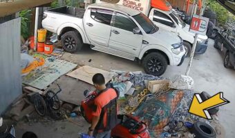 自分たちのすぐそばにコブラが潜んでいることに気が付いていない男性たち・・。突如ヌルッと動き出したコブラにビックリ！！【海外・動画】