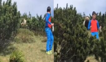 12歳の少年の背後に大きなクマが出現!クマを刺激しないように静かに距離を取ろうとする緊迫の1分の動画に手に汗握る