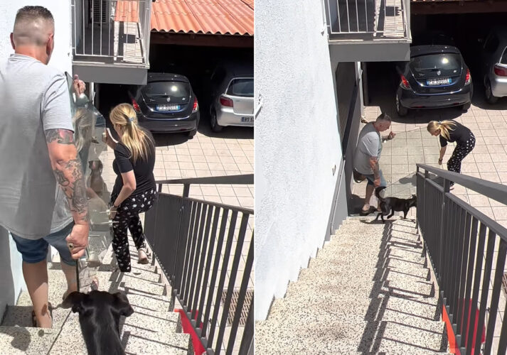 大きなガラスの板を運ぶ男女。階段をゆっくり慎重に進んでいき、階段をおりきったその直後・・、とんでもないことが！！【海外・動画】