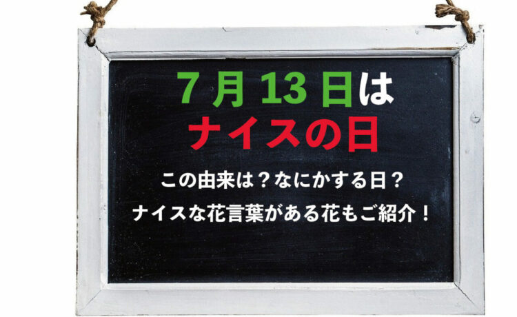 毎年7月13日は「ナイスの日」！その由来は？この日にプレゼントで贈りたくなるナイスな花言葉のある花をご紹介！