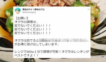 「茹でないでください！」野菜・果物のプロによる、オクラの調理に関するツイートが話題に！