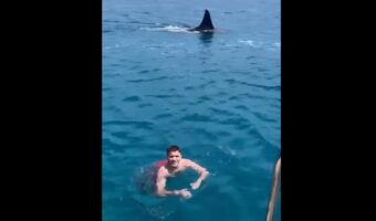 海水浴を楽しんでいたら、その背後にサメと思われる生き物が現れた!!至近距離まで接近してきましたが、その結末は・・【海外・動画】