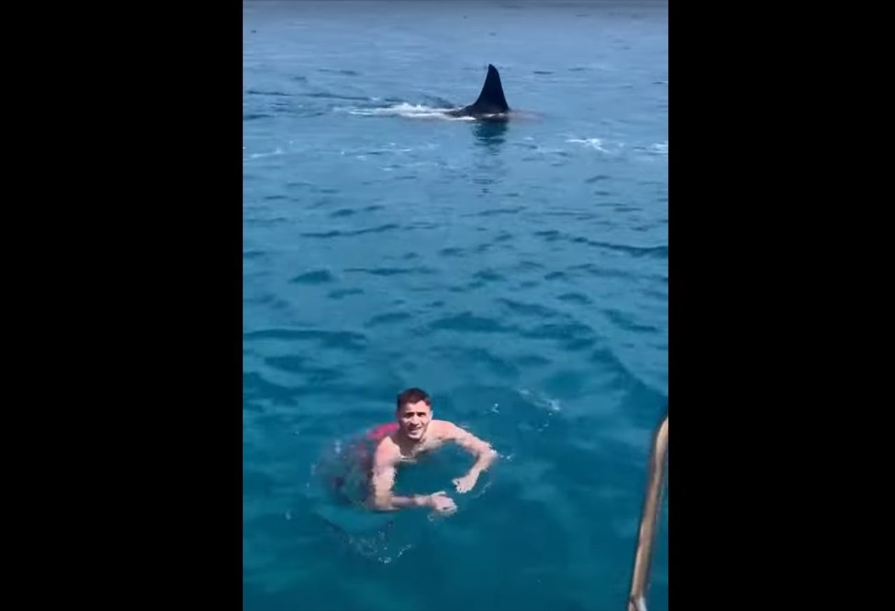 海水浴を楽しんでいたら、その背後にサメと思われる生き物が現れた!!至近距離まで接近してきましたが、その結末は・・【海外・動画】