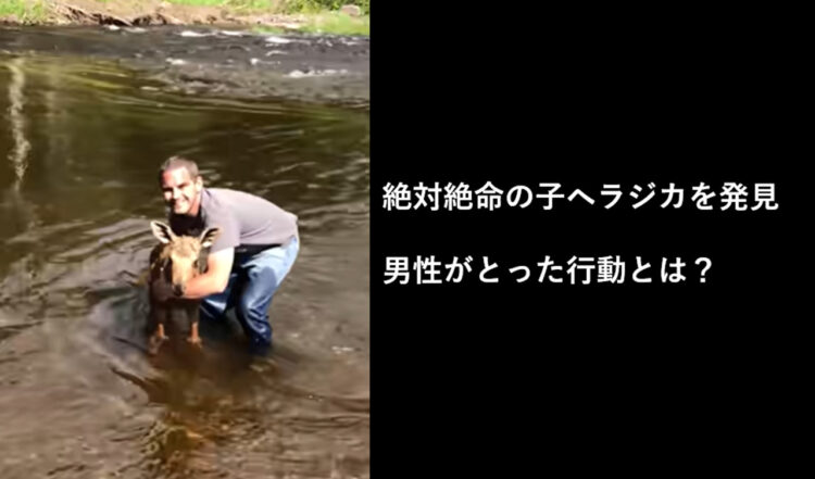 川を渡れず立ち往生するヘラジカを発見した男性。自身の危険を顧みずとった行動に賞賛！