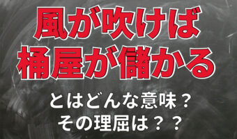 無関係なところに影響が出るという意味で「風が吹けば桶屋が儲かる」というけれど・・・どんな理屈?