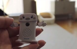 スーパーでお馴染みのBGMが流れる“呼び込み君”。再生すると、まんまと呼び込まれる猫たちがかわいい