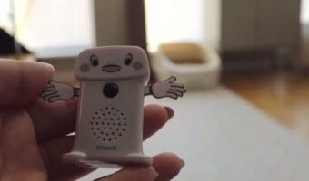 スーパーでお馴染みのBGMが流れる“呼び込み君”。再生すると、まんまと呼び込まれる猫たちがかわいい