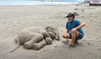 ビーチで象の赤ちゃんがお昼寝している？！と思ったら・・なんとこれ、砂と水で作ったリアルすぎる彫刻なんです！！