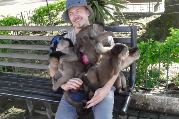 男性の膝にすし詰め状態になって座るサルたち。ずいぶん懐いているんだな〜と思ったら・・、その真相にビックリ！！【海外・動画】