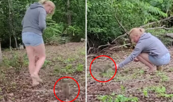 野生動物のお世話をする女性の後ろをくっついていく「ある小動物」。この子は女性に厚い信頼を寄せているようです!【アメリカ・動画】