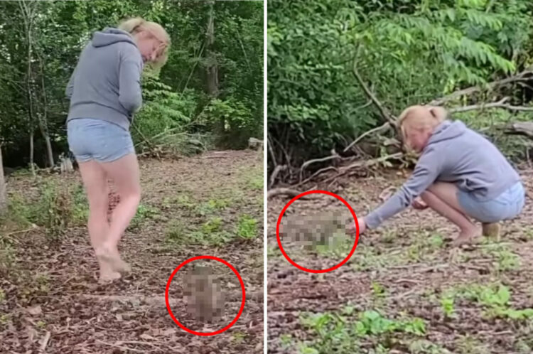 野生動物のお世話をする女性の後ろをくっついていく「ある小動物」。この子は女性に厚い信頼を寄せているようです！【アメリカ・動画】