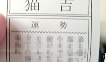 猫吉って何？猫好きには有名な那須の長楽寺でおみくじを引いたら「猫吉」が出た！