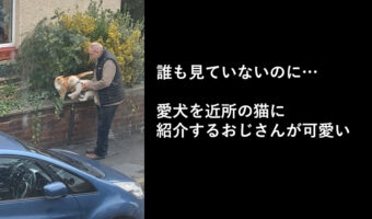「ほらうちの子かわいいでしょ?仲良くしてね」愛犬を近所の猫に紹介するおじさんが可愛い