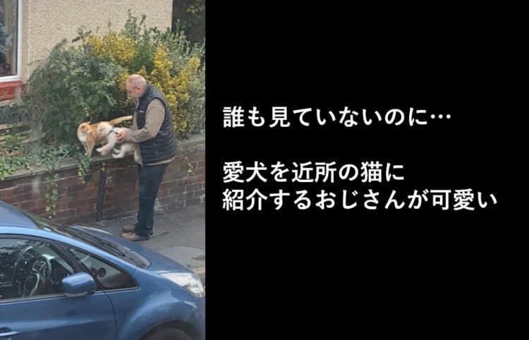 「ほらうちの子かわいいでしょ？仲良くしてね」愛犬を近所の猫に紹介するおじさんが可愛い