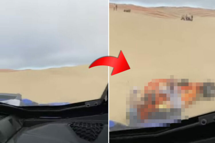 危機一髪すぎる！バギーで砂丘をまっすぐ走行していたら、突如『ある物』が目の前にあらわれた！【アメリカ・動画】