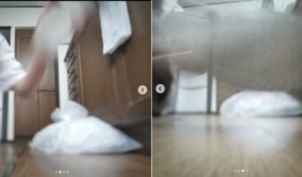 その発想はなかった！アース製薬の公式Instagram投稿がまさかのG目線で面白い！