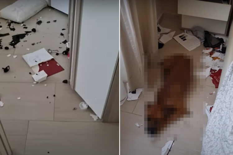 買い物から帰ってきたらベッドルームが大変なことに！？愛犬を留守番させていたけど大丈夫・・と思ったら、この犯行をしたのは【海外・動画】