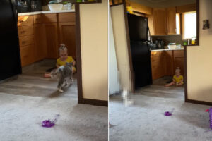 お互いビックリな初対面！猫がキッチンに行くと、そこに赤ちゃんがいて・・。しかもその瞬間、ふたりをさらに驚かせる出来事が！【海外・動画】