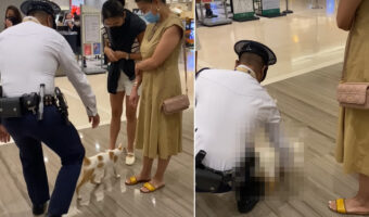 ショッピングモールのひんやりした床に寝転ぶ猫。ところが、抵抗も虚しく警備員さんによってお店の外まで抱きかかえられていくのでした