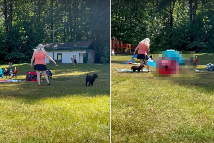 水辺で愛犬の散歩をしている女性。この後、このふたりが一緒になってビックリする事態が起こるのです！！【アメリカ・動画】