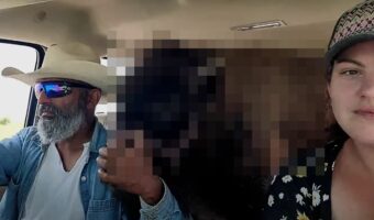 インパクトと違和感が強烈すぎる!車の後部座席で、まるで犬のようにドライブを満喫するのは、巨体で知られる『ある動物』の赤ちゃん!!