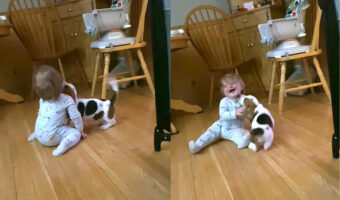 一緒に暮らす赤ちゃんとバセットハウンドの子犬。ふたりは出会ってまだ数日ですが、もう大の仲良し!大親友になったようです【アメリカ・動画】