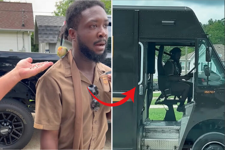 どこからか飛んできて配達員さんの肩に乗った小鳥。そこを自分のポジションにしたようで、餌を差し出されてもなびきません！【アメリカ・動画】