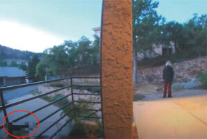 玄関先で犬を遊ばせていた女性。すると、すぐ近くに体の大きな『ある動物』がやって来ていることに気が付きました！！