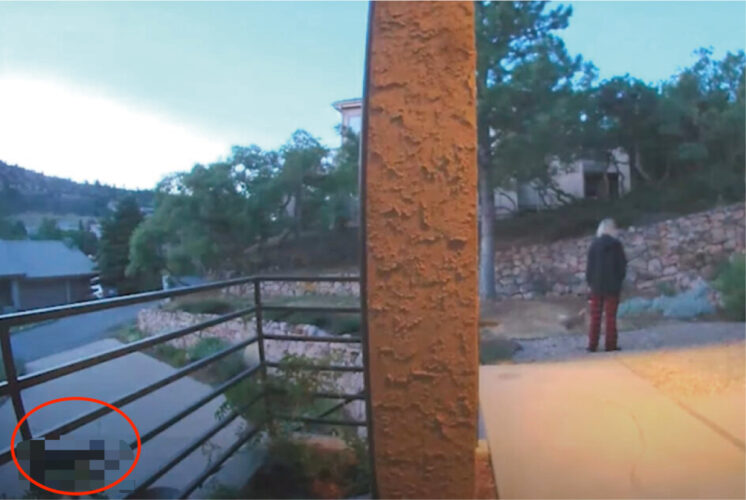 玄関先で犬を遊ばせていた女性。すると、すぐ近くに体の大きな『ある動物』がやって来ていることに気が付きました！！