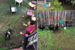 愛犬と遊ぶためにボールを投げた飼い主さん。ところがそのボールはお隣さんの庭に・・。これは困ったと思いきや！？【海外・動画】