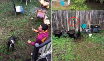 愛犬と遊ぶためにボールを投げた飼い主さん。ところがそのボールはお隣さんの庭に・・。これは困ったと思いきや！？【海外・動画】