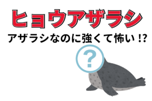 南極海最強！「ヒョウアザラシ」はアザラシだけど・・、強くて怖い！！