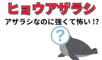 南極海最強!「ヒョウアザラシ」はアザラシだけど・・、強くて怖い!!