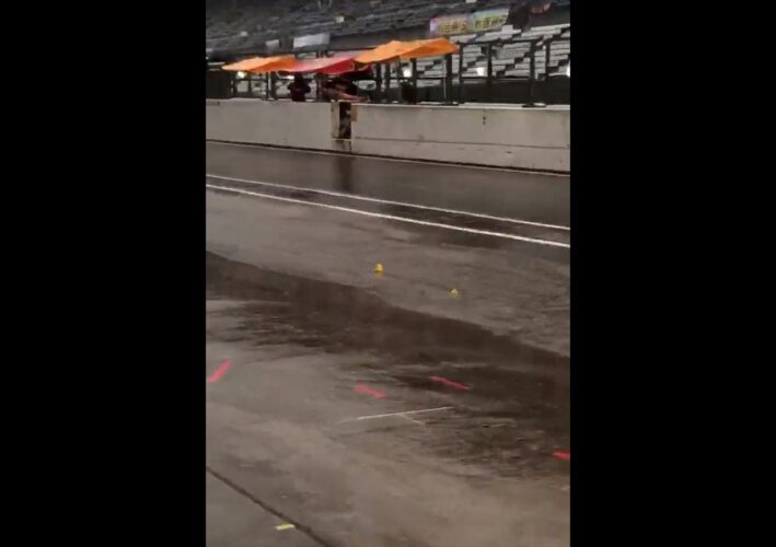 「大雨でピットに川できてるからって、ひよこ流すの面白すぎる」なぜか鈴鹿8時間耐久ロードレースで、ひよこのレースが開幕！？