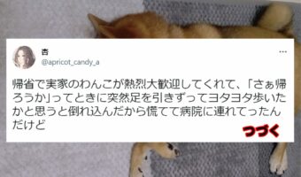 【愛犬のトリビア】飼い主の気を引きたくて犬は仮病を使う事がある!という事実が何とも愛おしい