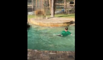 怖くないの？！プールで気持ちよさそうに泳ぐ男性、そこに一緒にいたのは・・、猛獣として知られる動物たちでした！！