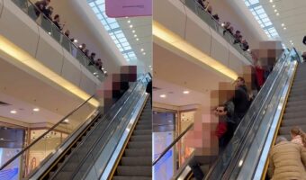 エスカレーターからおりてくる集団。みんなして『ある動物』を抱いたりして一緒にいるその光景にビックリ！！【海外・動画】