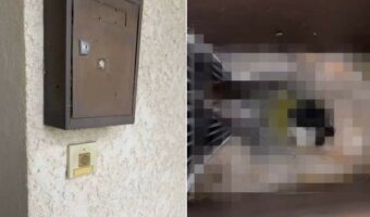 この郵便受けはしばらく使えない？！郵便受けの隙間からカメラを覗き込ませると・・、そこはビックリする『あるもの』が出来上がっていました！！