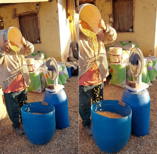 現代版の唐箕？トウモロコシのもみがら取りの様子が、なんだか社会科で習った風景とダブる・・