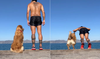 飼い主さんと息がバッチシ合っているゴールデンレトリバー。「せ〜の！」とタイミングを合わせ、ふたりで水中に向かってジャンプ！【海外・動画】