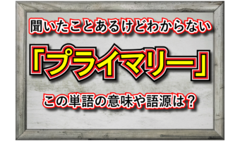 IT分野やビジネス用語で用いられる「プライマリー」とはどんな意味の言葉?どんな時に使うものなの?