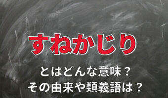 「すねかじり（脛齧り）」とはどんな状態を意味するの？なぜ脛をかじるの？？