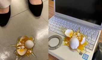 どこに置いても衝撃的で見た瞬間に焦ってしまう!食品サンプル製造メーカー『いわさき』の生卵がリアルすぎる!