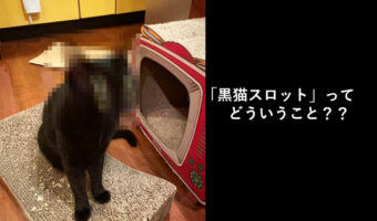 「黒猫スロット」画像で話題!顔ブレ写真がおもしろ可愛い