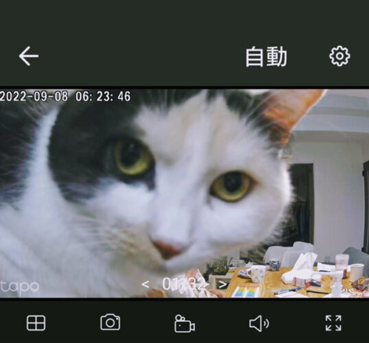 母親の見守りようにカメラを設置した結果、見守りカメラの見守り係がめちゃくちゃ見守ってくる！