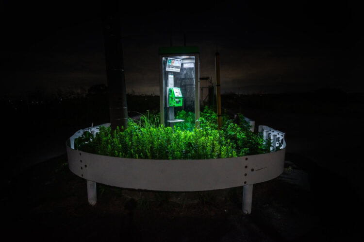 異世界との通信専用？ガードレールに囲まれた謎の電話ボックスが不気味で素敵